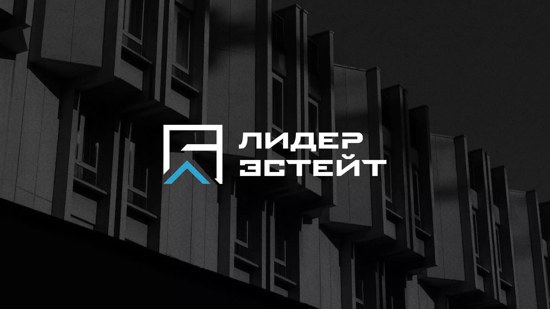 Разработка логотипа агентства недвижимости «Лидер Эстейт» в Гаджиево